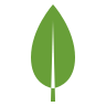 MongoDB Logo
